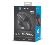 Natec MYSZ BLACKBIRD 2 BEZPRZEWODOWA 1600DPI CZARNA - 1470202 - zdjęcie 6